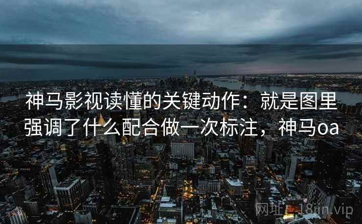 神马影视读懂的关键动作：就是图里强调了什么配合做一次标注，神马oa