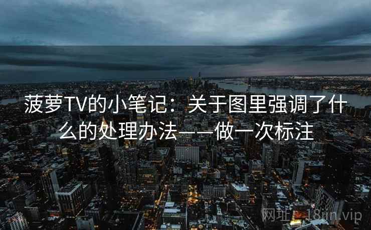 菠萝TV的小笔记：关于图里强调了什么的处理办法——做一次标注